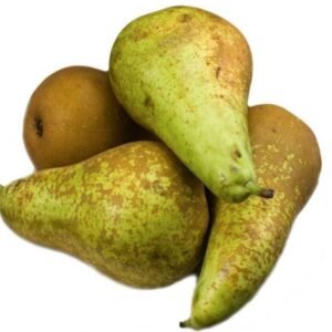 Natural Pera Conferencia