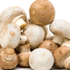 Natural Champiñón