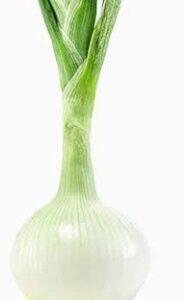 Natural Cebolleta Unidad