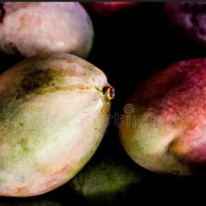 Natural Mango Alcoaxarquia