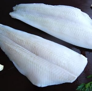 ElMar Halibut Unidad